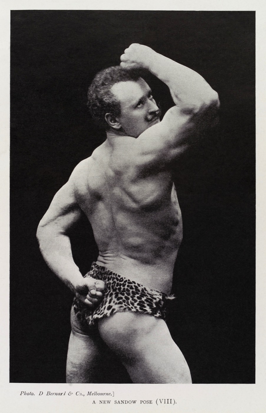 Eugen Sandow, posed studio photograph, 1897